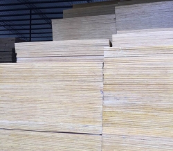 建築91香蕉视频污版在线观看